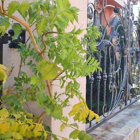 Guest House Via Sapareva Banya ภายนอก รูปภาพ
