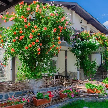 Guest House Via Sapareva Banya ภายนอก รูปภาพ