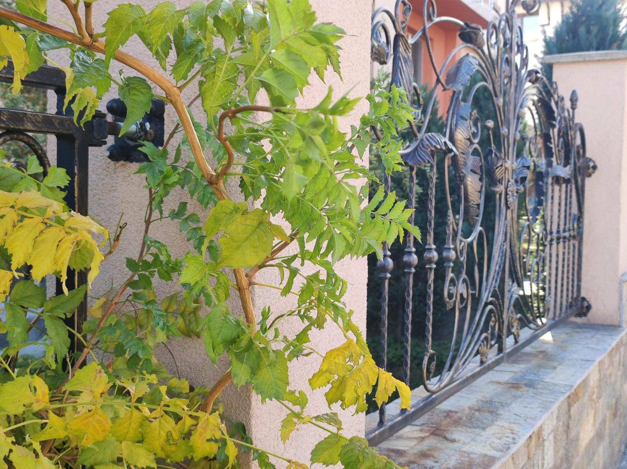 Guest House Via Sapareva Banya ภายนอก รูปภาพ