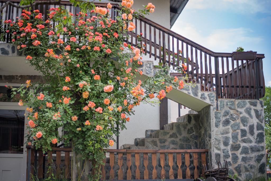 Guest House Via Sapareva Banya ภายนอก รูปภาพ
