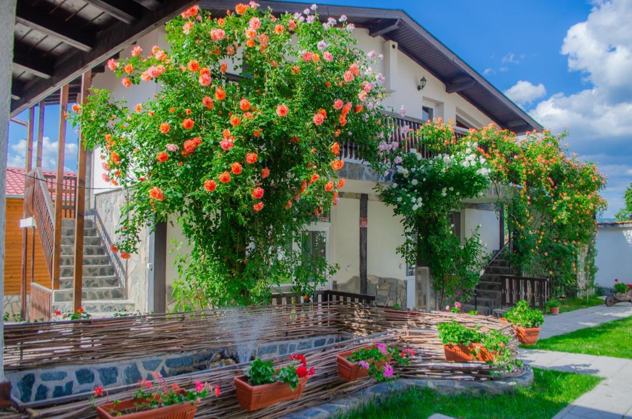 Guest House Via Sapareva Banya ภายนอก รูปภาพ